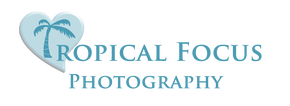 Tropical Focus Photography